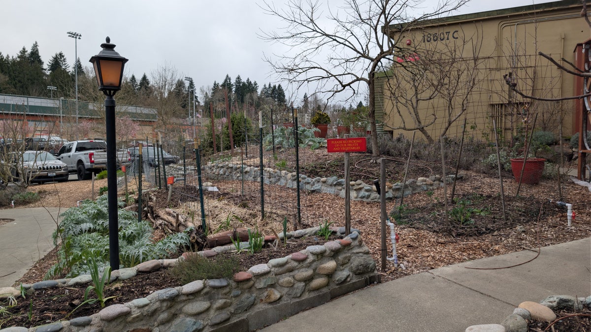 mcmenamins-anderson-school-hotel-garden McMenamins Anderson School Hotel garden
