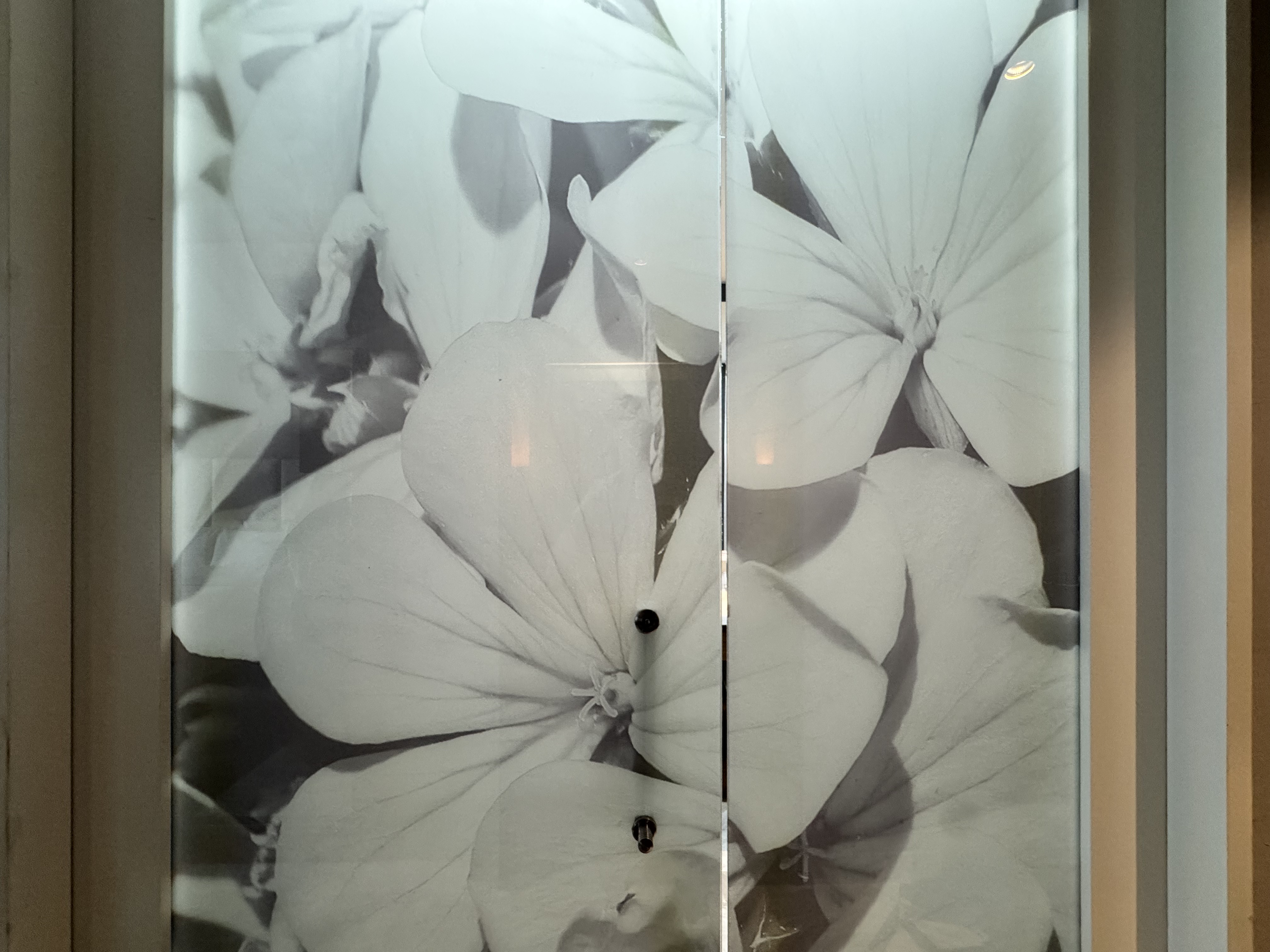intercontinental-cartagena-bathroom-door InterContinental Cartagena Bathroom Door