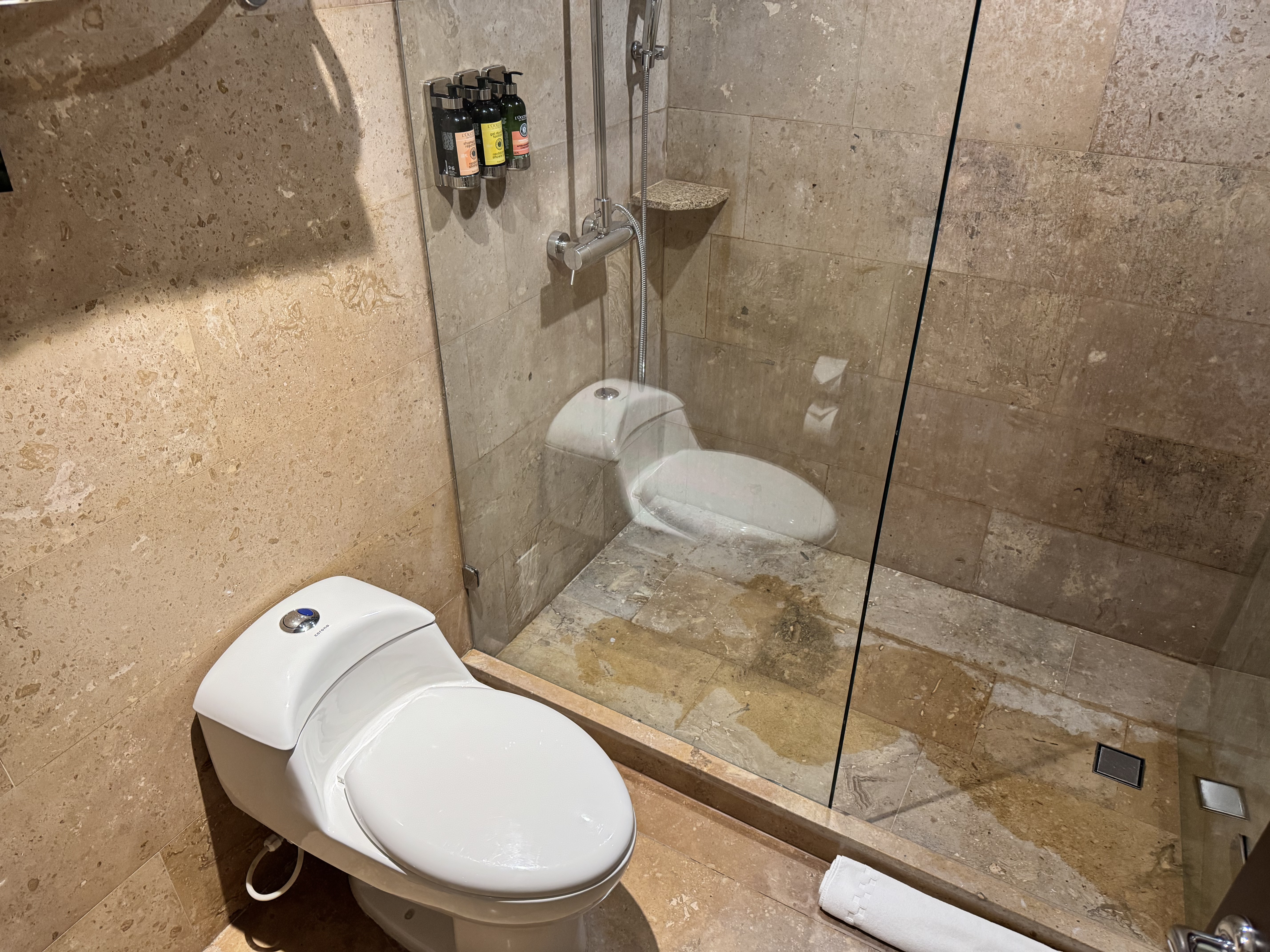 sofitel-bogota-victoria-regia-bathroom-toilet-shower Sofitel Bogota Victoria Regia Bathroom Toilet Shower