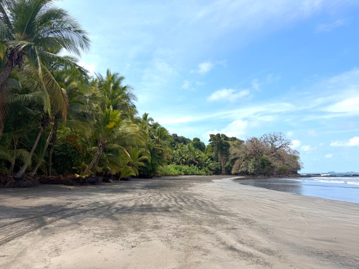 isla-palenque-panama-deserted-beach Isla Palenque Panama deserted beach