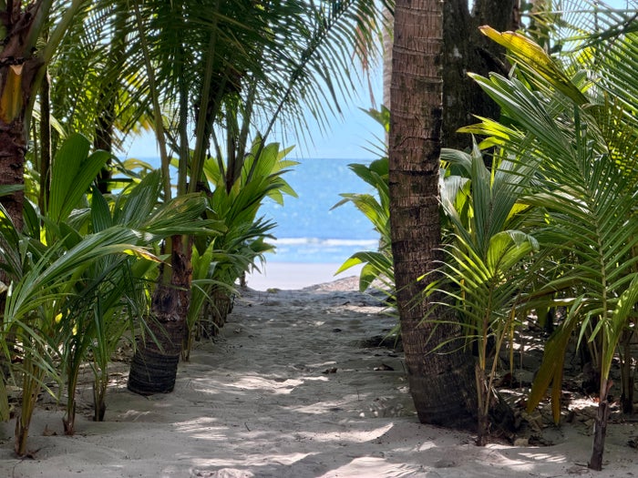 isla-palenque-panama-room-beach-access Isla Palenque Panama room beach access