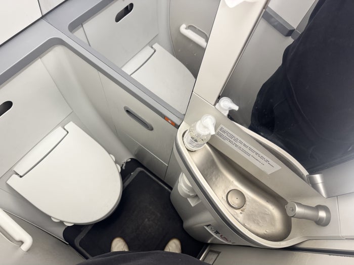 Copa Airlines B737 8 Economy Lavatory Copa Airlines B737 8 Economy Lavatory
