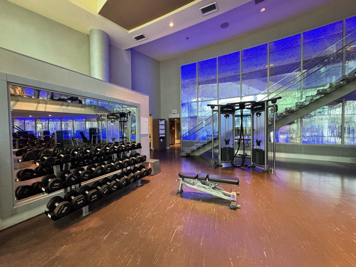 Diplomat fitness studio weights