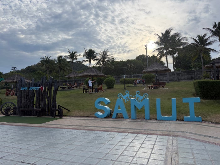 Koh Samui Airport palm trees and sign Koh Samui Airport palm trees and sign