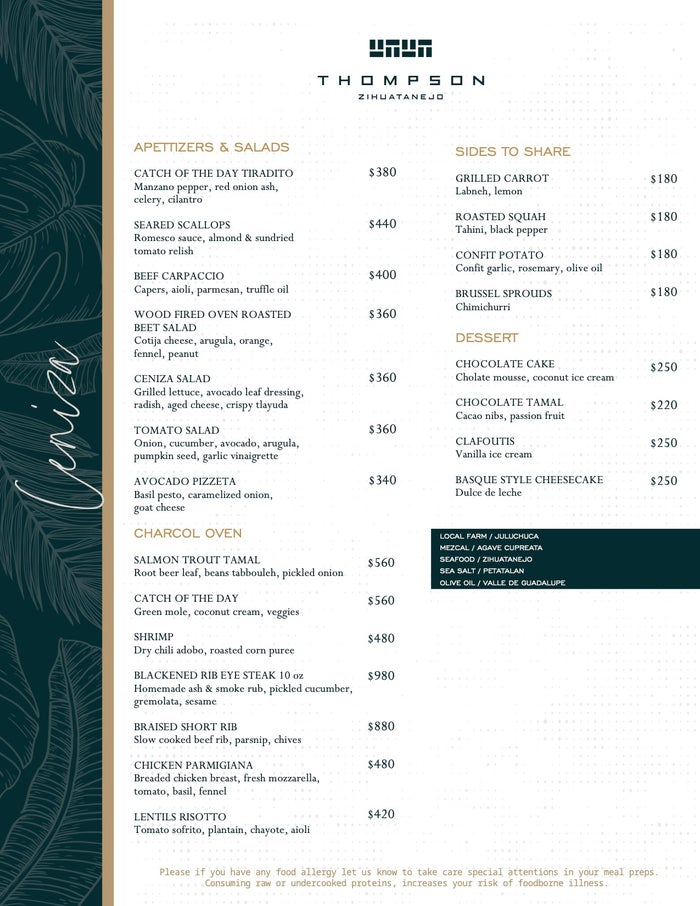 Hyatt Thompson Zihuatanejo Ceniza menu