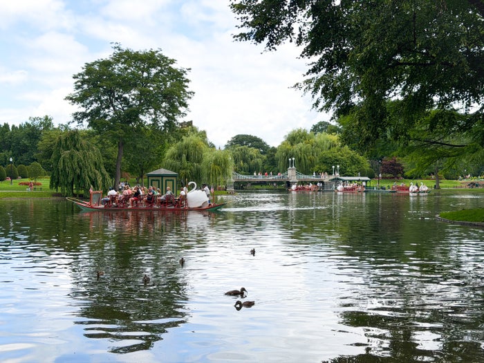 swan-boat-boston-public-garden-image-credit-chris-hassan Swan Boat Boston Public Garden Image Credit Chris Hassan
